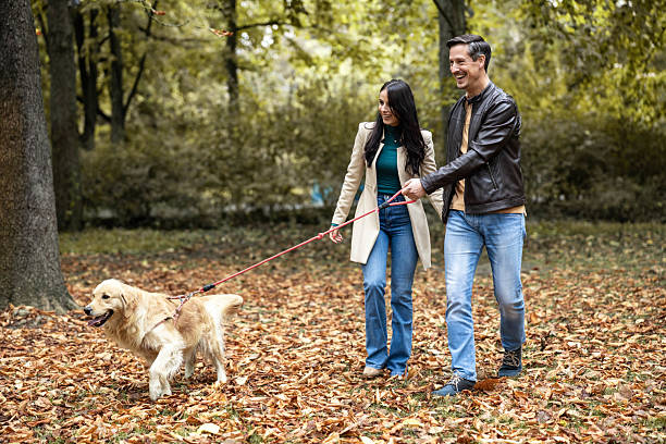 istock Couple walking dog in autumn park setting 2242350924