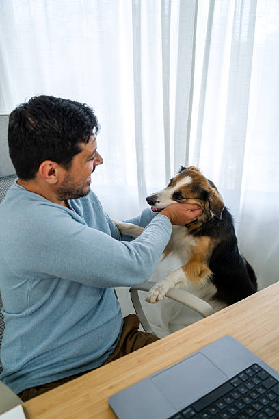 istock Man petting dog while working from home 2242354988