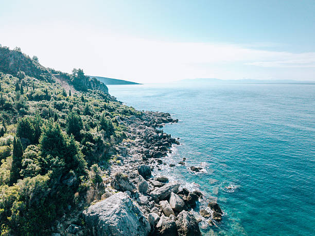Rocky coastline with dense green shrubs and trees meeting clear blue ocean water. Scenic natural landscape with rugged cliffs and calm sea. Coastal nature view with rocks and vegetation.