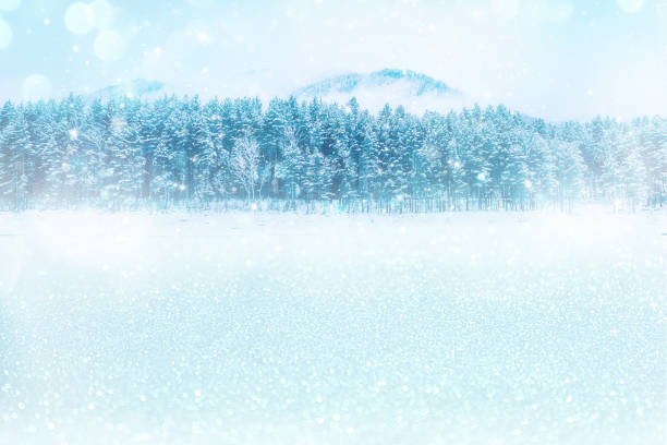 Winter Wonderland. Snowy landscape featuring pristine, undulating snow, framed by frosted pine branches. Soft snowfall and a bright background light create a magical, peaceful winter scene at sunset