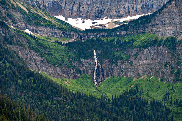 A narrow waterfall plunges down a steep cliff surrounded by dense alpine forest and rugged rock faces in Glacier National Park, Montana. Snow patches and vibrant greenery frame this remote and dramatic wilderness feature.