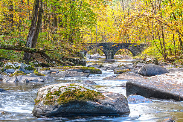 istock Stone Arche Bridge on 10 Mile River 2242362726