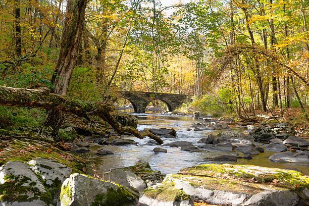 istock Stone Arche Bridge on 10 Mile River 2242363016