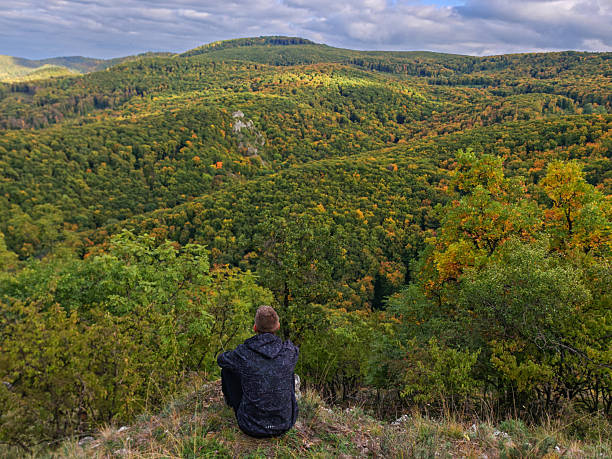 istock Resting Hiker Enjoying the Autumn Forest View 2242363142