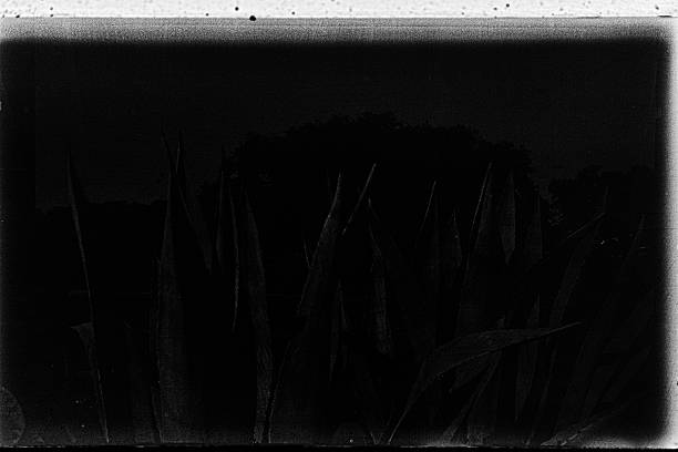 istock Textured minimalist surface in black and white fine art photograph 2242367358