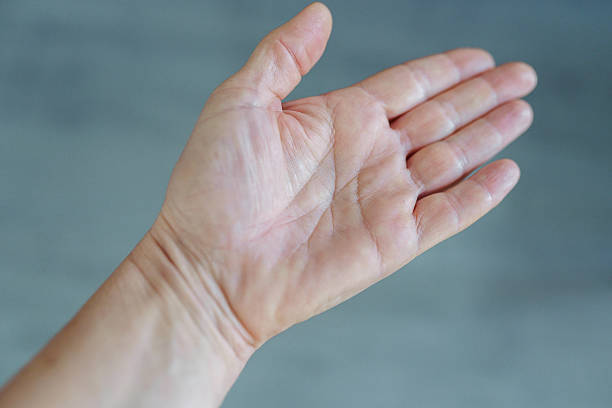 istock female hand palm with life lines 2242367492