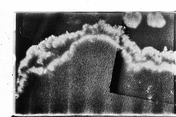 istock Textured minimalist surface in black and white fine art photograph 2242377599