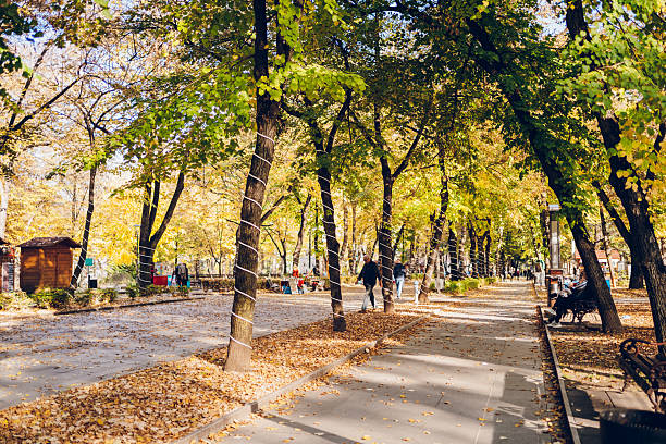 Autumn colors in the park