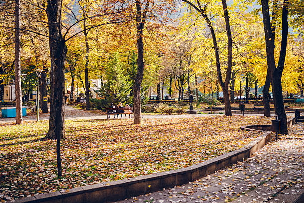 Autumn colors in the park