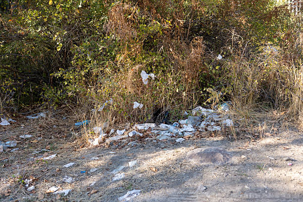 garbage in the forest