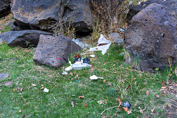 istock Environmental Degradation: Waste and Trash in Natural Surroundings 2242384849