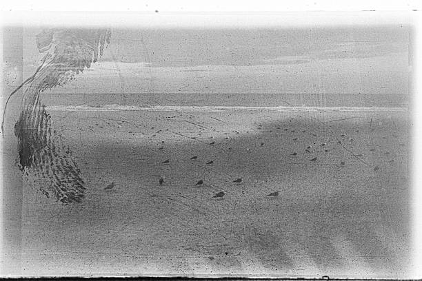 istock Textured minimalist surface in black and white fine art photograph 2242386184