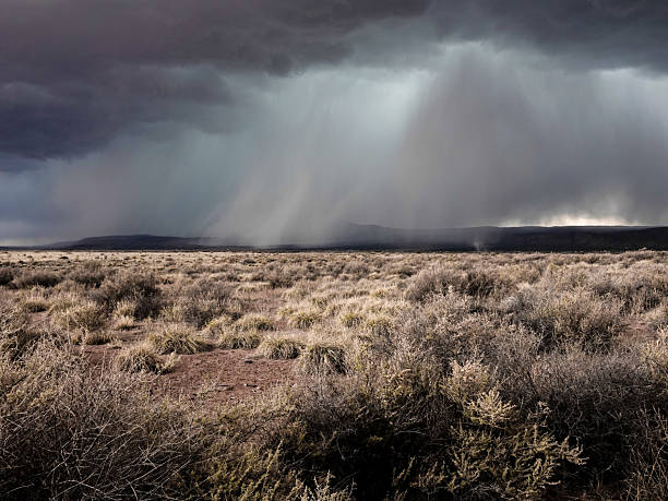 Intense desert downpour in the distance
