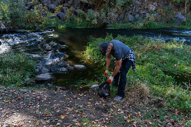 Man Collecting Litter in a Forest Park During Fall – Environmental Awareness and Volunteering