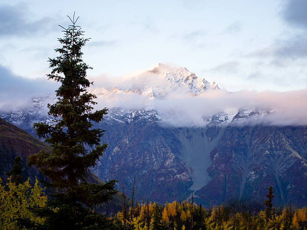 I love fall foliage color in Alaska, snow on the background with yellow tree leaves on the foreground. Everything is so peaceful and beautiful in this season.