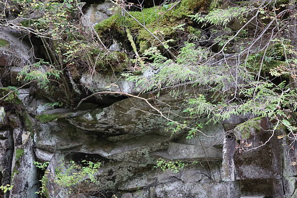 istock Textured Stone Cliff with Moss and Small Shrubs 2242395159