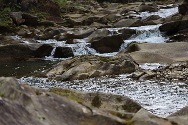 Mountain stream with clear water flowing among bright stones covered with moss. Natural motion and clarity reflect the spirit of wild nature.