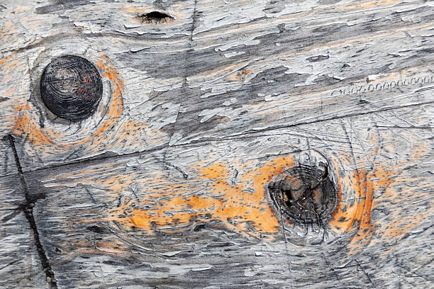 pattern of old dried wood in detail in harmonic structure