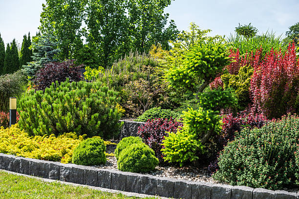 istock Vibrant Garden Landscape Featuring Diverse Plants and Landscaping Designs 2242406990