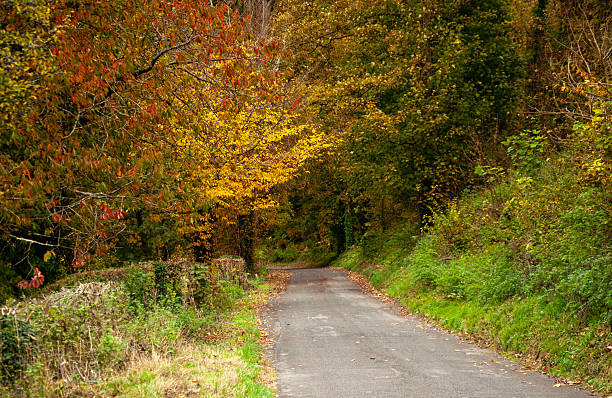 istock Wiltshire Autumn Countryside 2242408940