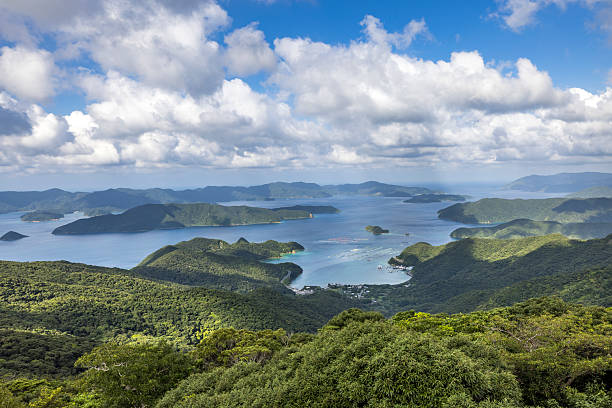 aerial view on the southern part of amami oshima island in japan.