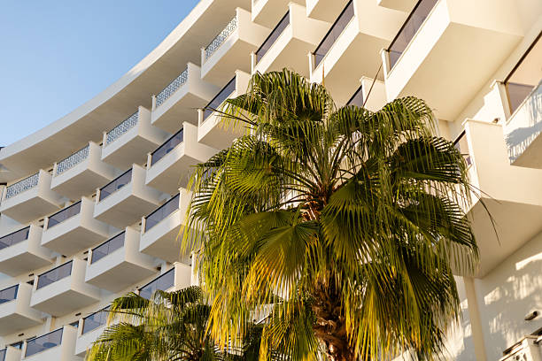 istock A modern hotel building features sleek lines and multiple balconies, with vibrant palm trees in the foreground under the bright blue sky. This scene captures a relaxed, sunny atmosphere 2242415170