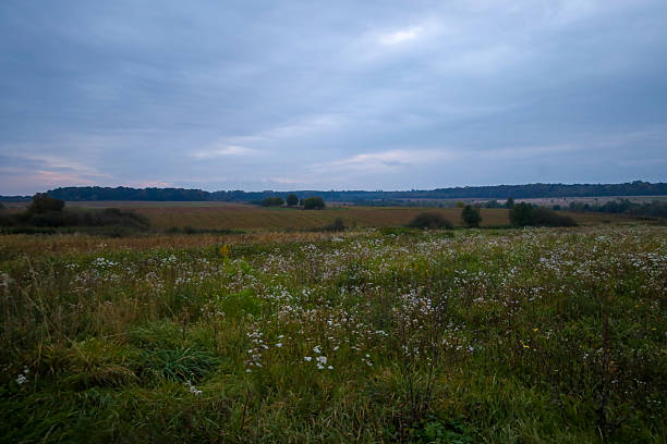 ​A wide rural landscape showcases expansive wild meadows in the foreground under a broad, gloomy autumn sky. Agricultural fields and forests are visible on the horizon, creating a late autumn atmosphere.