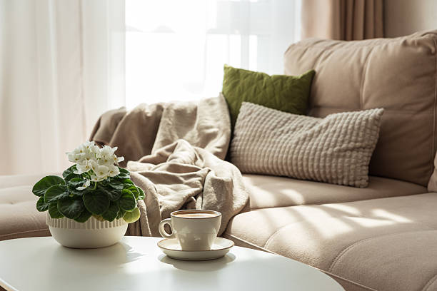 istock Cozy Living Room with Coffee and African Violet on Table 2242420272