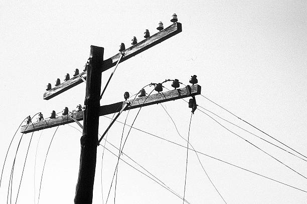 obsolete telephone pole -- 1998