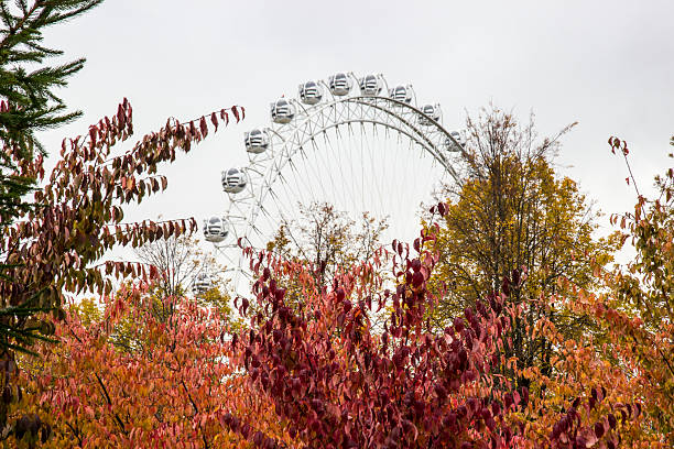 istock autumn city park. Ferris wheel 2242421550