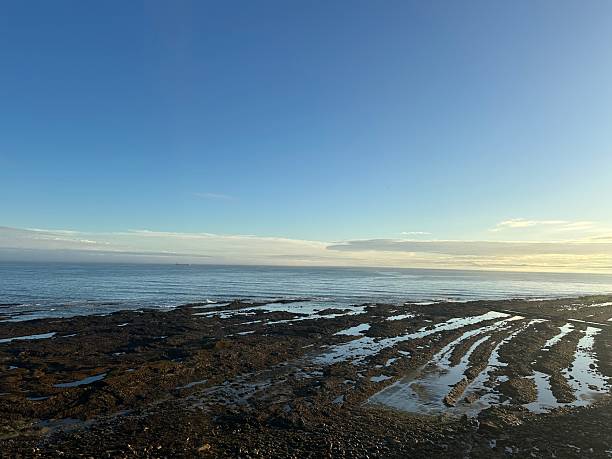 istock Happiness is St Andrews 2242423779