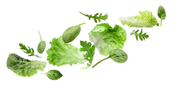 istock Fresh salad leaves flying against white background. Lettuce, spinach and arugula 2242425084
