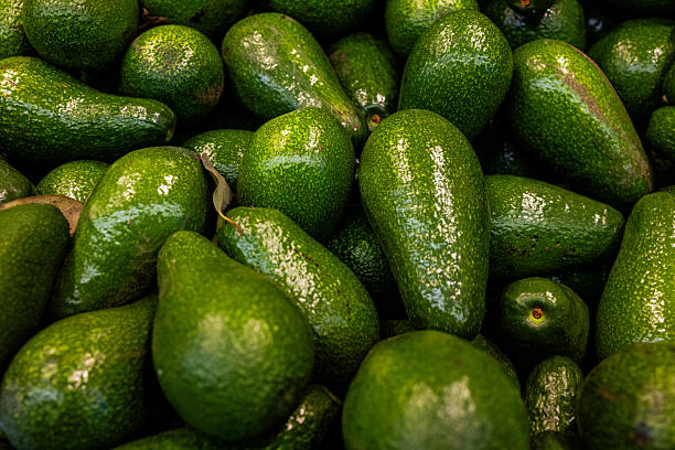 istock Fresh green avocados on display at local market 2242425489