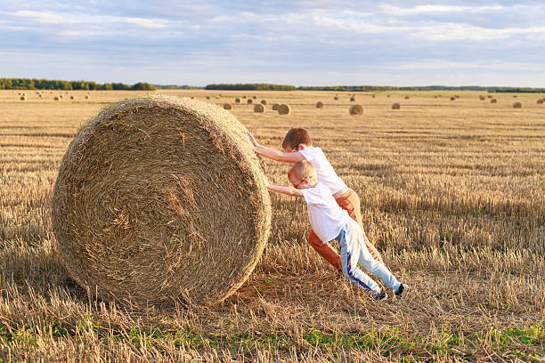 In a scene of pure joy and inclusivity, a nonbinary sibling and their younger brothers playfully engage on the haystacks, celebrating the beauty of family and rural togetherness