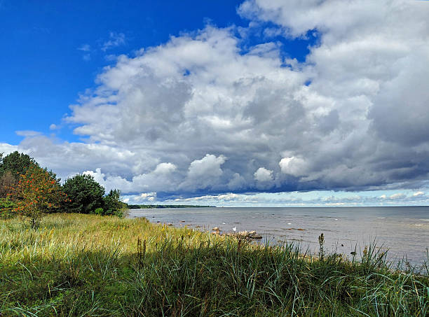 Dramatic sky over sea - A wide coastal landscape with a sandy beach, dune grass, and dramatic white clouds over the sea