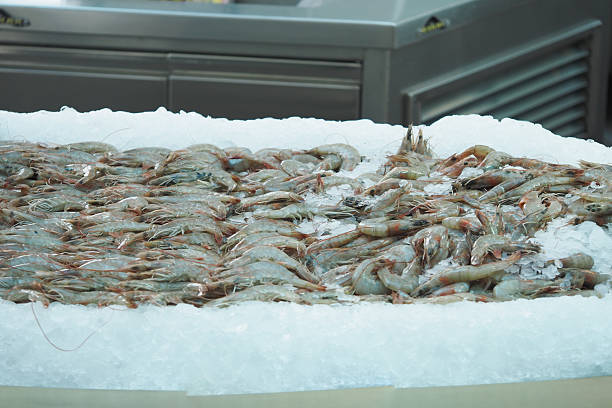 Fresh Prawns on sale at a market stall in Málaga, Spain