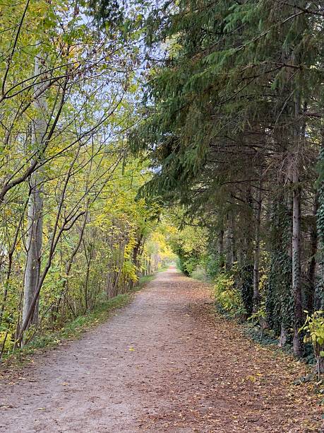 istock Walnut Trail, Collingwood, Ontario 2242433767