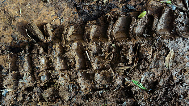 Tire track imprinting wet mud and dirt ground