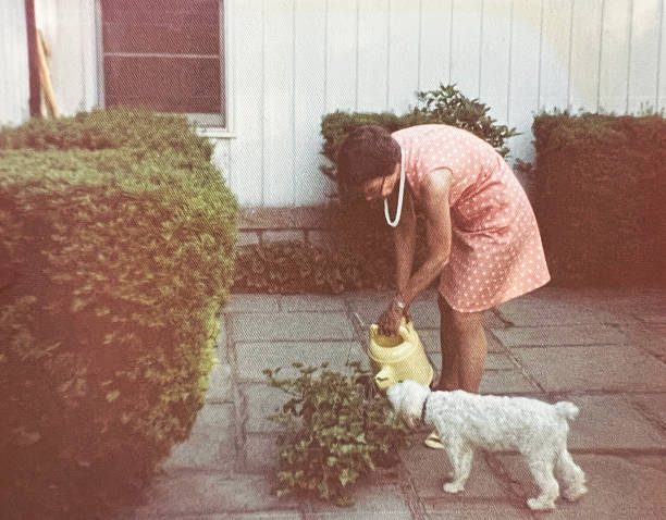 istock Woman and Dog 1970s 2242439250
