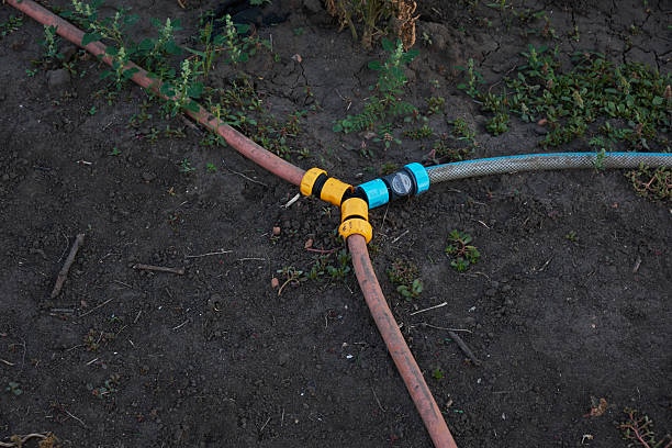 Close-up of a three-way hose splitter connecting two orange hoses and one blue hose, lying on dark soil in a garden. The splitter is used for watering plants or a vegetable patch.