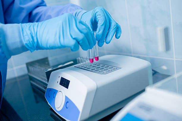 istock Technician placing test tubes into a dry block incubator for medical diagnostics 2242455259