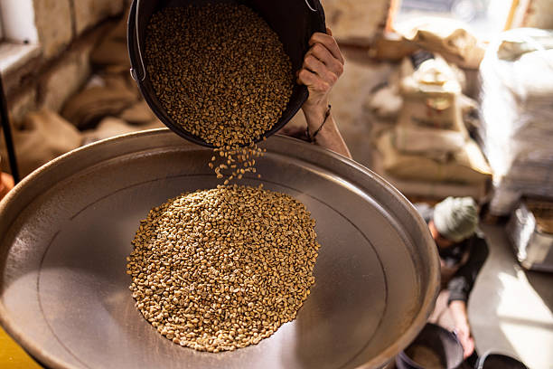 istock Pouring Seeds Into Large Metal Tray In a Busy Warehouse Setting 2242459574