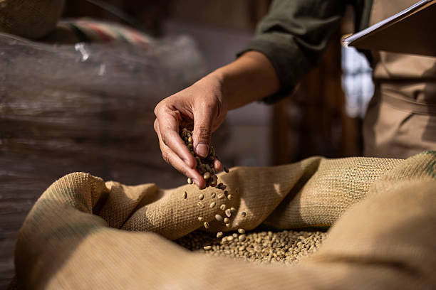 Close-up of a worker's hand releasing coffee beans into a coarse burlap sack, highlighting manual labor, agriculture, and grain handling in a warm, rustic setting