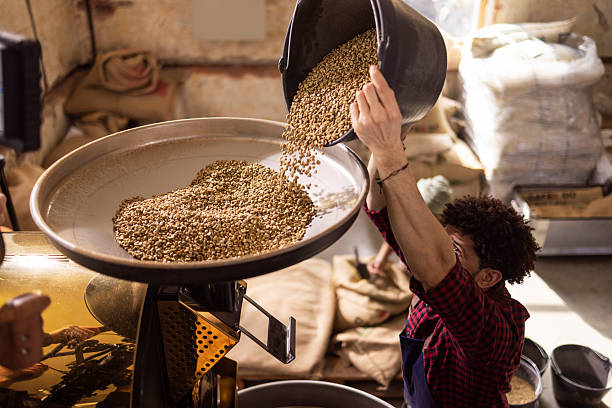 A worker in a plaid shirt and apron pours coffee beans from a bucket into a large milling pan, capturing hands-on food processing in an industrial warehouse setting