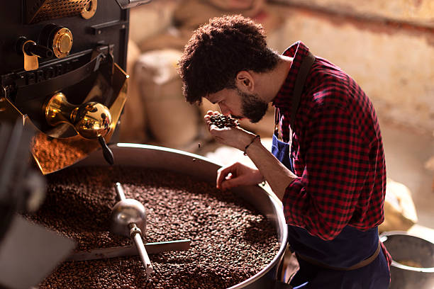 istock Craftsman Roasting Coffee Beans: Man Inspecting Fresh Roasts in Rustic Coffee Studio 2242459887
