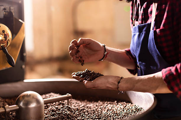 istock Roaster Hand Picks Coffee Beans During Fresh Roast in Busy Roastery 2242459900