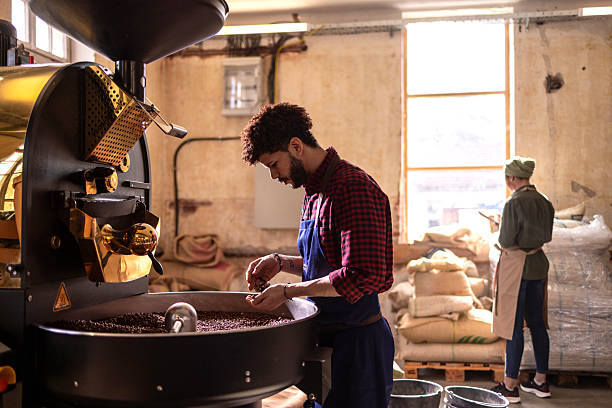 Coffee Roaster at Work Grinding Beans in a Rustic Industrial Roastery with Team Member