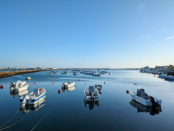 Motorboats are docked at Aveiro Marina in Portugal