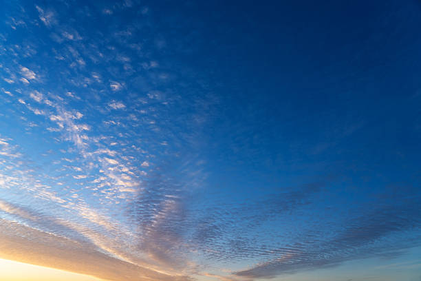 Blue sky with a pink stripe at the horizon. Calm background with evening clouds.