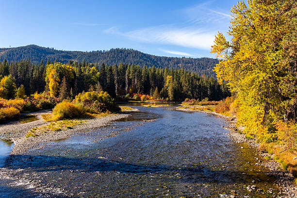 istock Beautiful autumn river landscape 2242466389